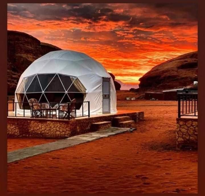 Desert Beauty - 와디럼 외부 사진